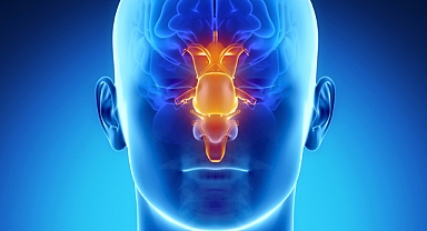 Burun Tıkanıklığını Gidermek İçin Doğal Yöntemler